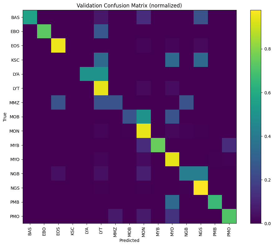 Normalized validation confusion matrix across 15 leukocyte classes from the AML cytomorphology classifier